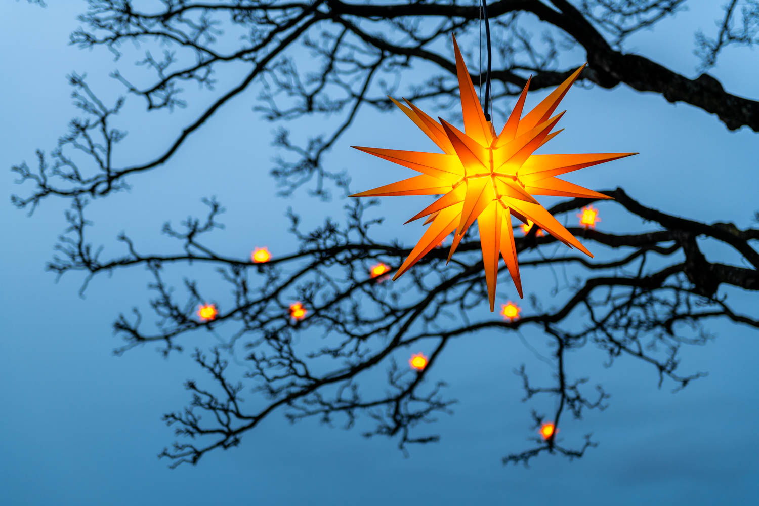 Sharing festive cheer – are holiday messages valuable LinkedIn content?